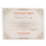 Stetson El Presidente 100x Silverbelly